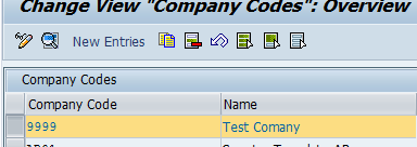 double-click-on-your-company-code