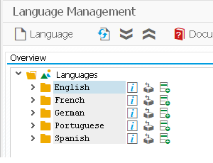SAP Tips: How To See The Languages Installed In Your SAP System