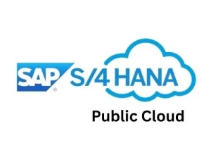 Grow With SAP Public Cloud – Implementing SAP S/4HANA With A Cloud Mindset